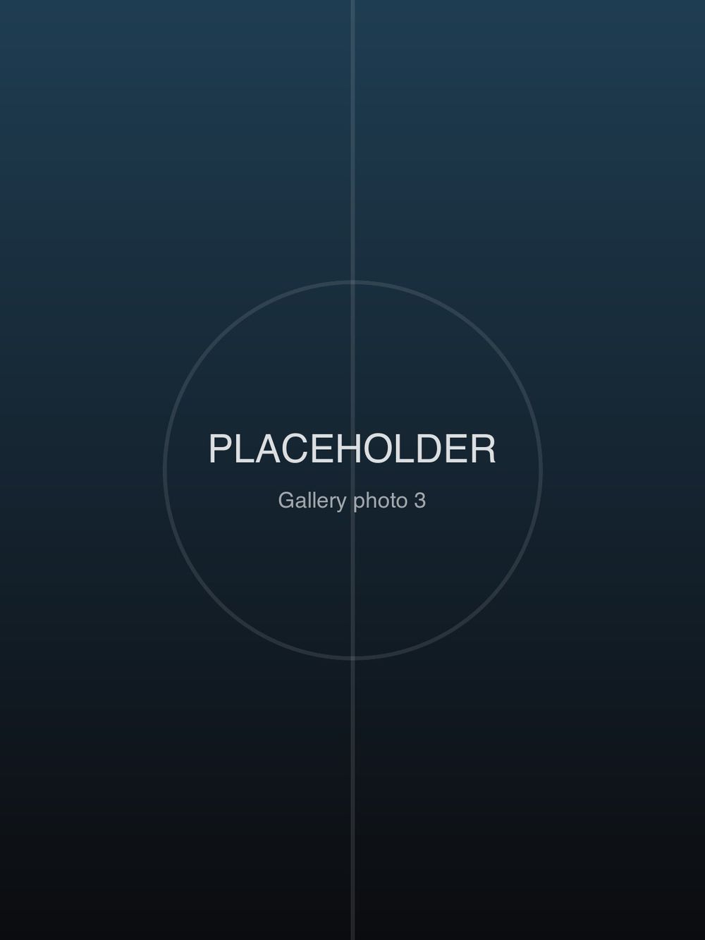 Placeholder gallery photo 3